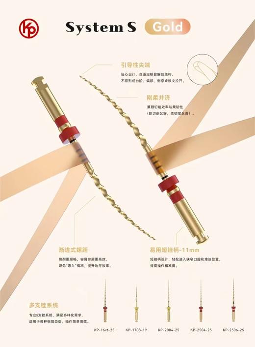 机用根管锉（凯文彼德  啄木鸟 机用根管锉 买十送一 备注型号） 商品图0