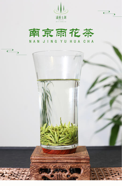 南京雨花茶50g家庭装（单芽初展） 商品图1