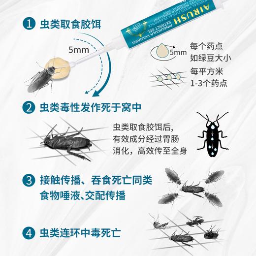 【除蟑爆品】澳洲原装进口 AIRUSH除蟑胶饵 蟑螂一窝端 2支/盒 商品图3