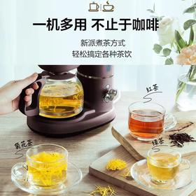 小熊全自动泡茶煮茶两用机