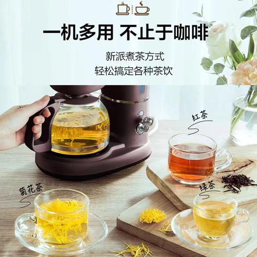 小熊全自动泡茶煮茶两用机 商品图0