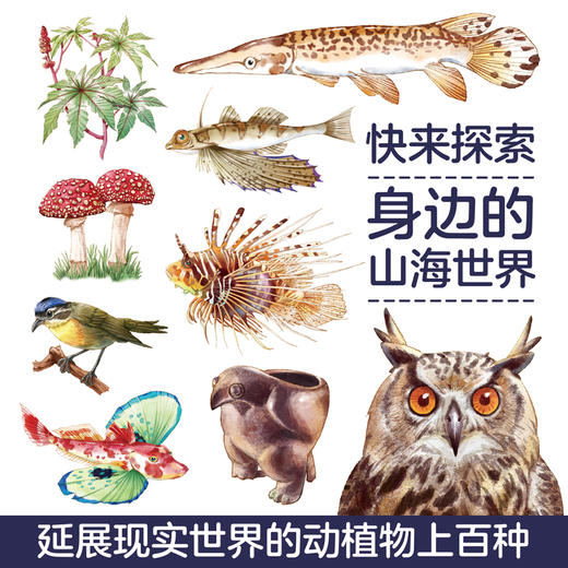 我们来自《山海经》（平装四册）——告诉孩子《山海经》里面到底有什么 商品图10