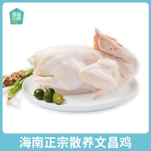 【海南好物】文昌鸡  1kg/只 商品图1