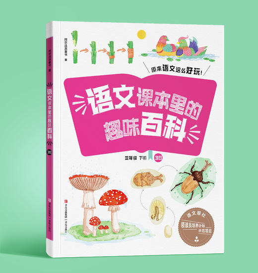 语文课里的趣味百科 商品图3
