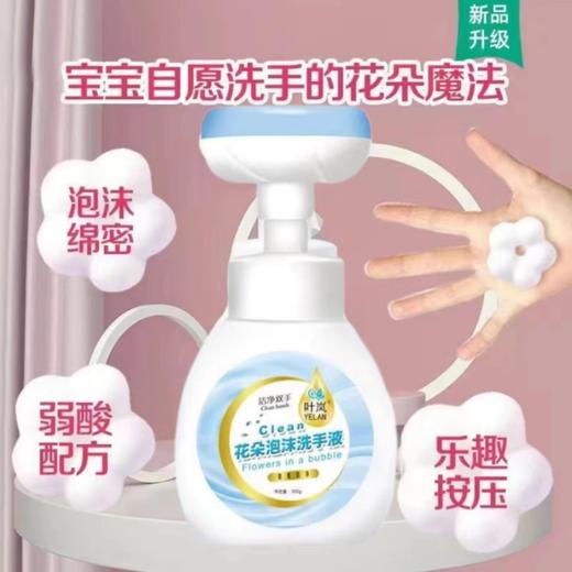 【12元会员福利】叶岚花朵泡沫洗手液300g*2（一组) 
 商品图2