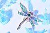 【腾飞】祖母绿蜻蜓胸针-CB12401077 商品缩略图3