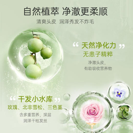 滋源无患子控油滋养洗头水（油性）535ml 商品图2