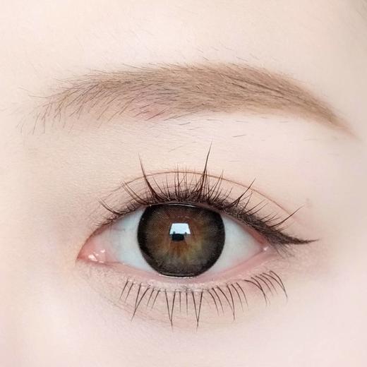 HOLYNARA 日抛森林氧吧 黑/灰（最高800度） 商品图0