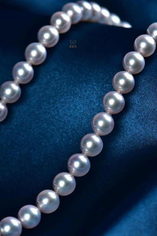 【臻雅】Akoya珍珠项链-ZX12403005 商品图3