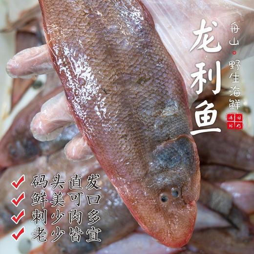 【闹妈】[鲜冻]舟山粗鳞玉秃鱼1斤3条/1斤2条/6-7两等各种规格 商品图0