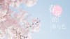【北京】植物园—科学解锁春花 商品缩略图0