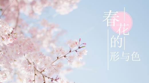 【北京】植物园—科学解锁春花 商品图0