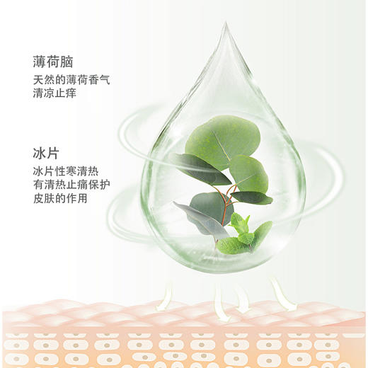 【LANNA SEVEN 蚊子膏】舒缓呵护 清爽提神 消肿止痒 植物配方 商品图4