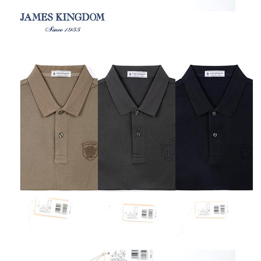 【1件/119  2件/199】占姆士男士夏季短袖时尚POLO衫 商品图0