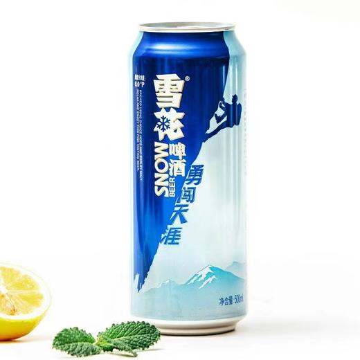 雪花8度勇闯天涯500ml(6949352200055) 商品图2