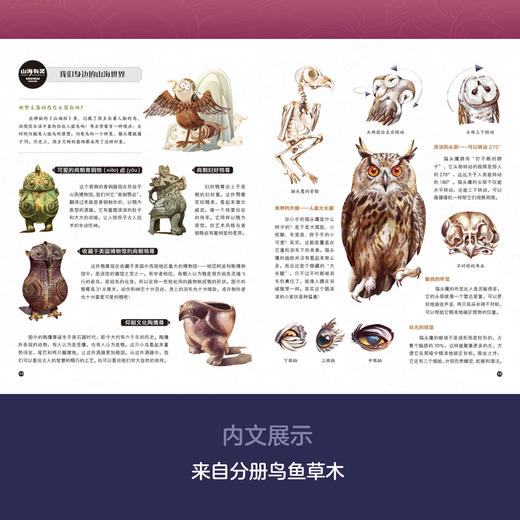 我们来自《山海经》（平装四册）——告诉孩子《山海经》里面到底有什么 商品图8