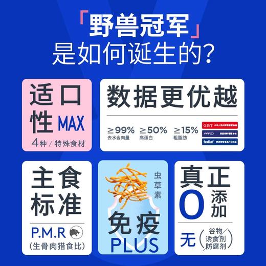 蓝氏猫罐头猫咪主食罐乳鸽猎鸟兔肉成猫幼猫粮慕斯奖励猫零食湿粮 商品图1