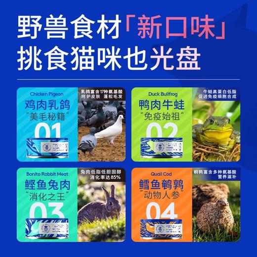 蓝氏猫罐头猫咪主食罐乳鸽猎鸟兔肉成猫幼猫粮慕斯奖励猫零食湿粮 商品图2