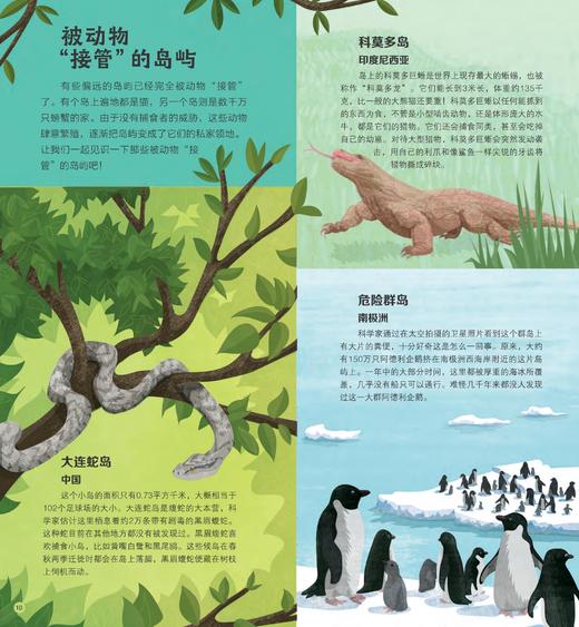 《大英儿童百科地球冒险计划》（全4册） 商品图10