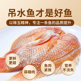 L淏品鲜桃玉鲷350g/条*3条/箱