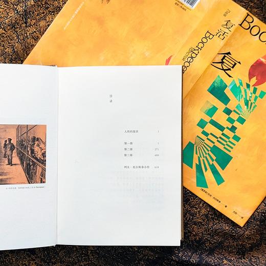 《托尔斯泰众生三部曲》（全6册） 商品图7