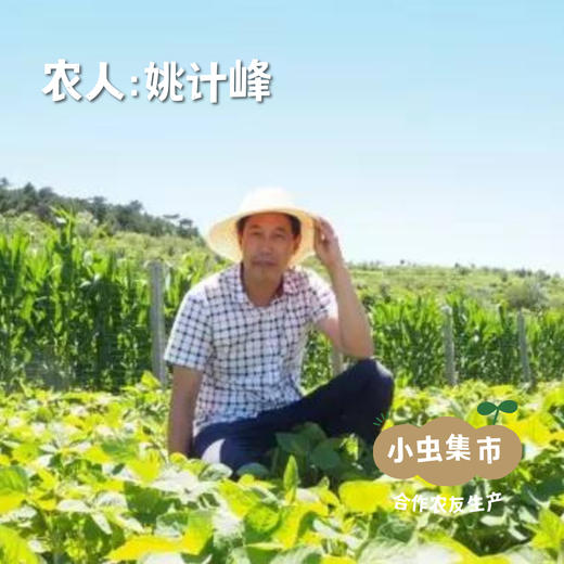 有机香辣豆干 120g/袋 | 合作农友生产，产自河北承德，生产者：姚计峰 &【公平贸易农人定价】 商品图3