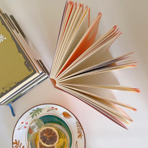 《野性的歌谣：流沙河讲诗经》（文化大家流沙河讲透诗经本质。读完这一本，就可以拍着胸口说学过诗经了） 商品图5