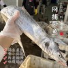 【闹妈海鲜】舟山新鲜热气雷达网油带鱼，各种规格 商品缩略图0