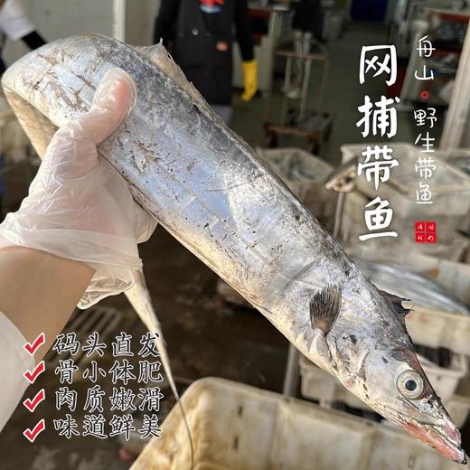 【闹妈海鲜】舟山新鲜热气雷达网油带鱼，各种规格 商品图0