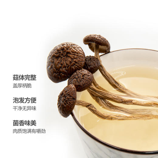 玺丰收茶树菇500g/袋 商品图3