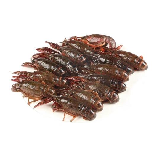 小龙虾（4-6钱，不剥壳）（约500g/份） 商品图1