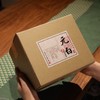 2024年元白白毫银针500g 商品缩略图0