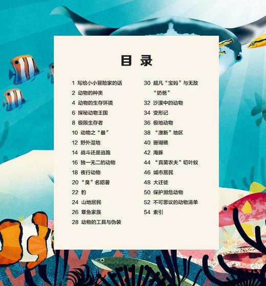 《大英儿童百科地球冒险计划》（全4册） 商品图4