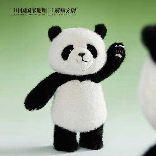 博物文创 大野系列 佛系大熊猫 正义小熊猫毛绒玩偶公仔 商品图3