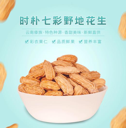 时朴七彩野地花生 商品图1