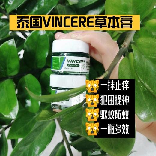 泰国正品 VINCERE草本膏 13g*三瓶 商品图4