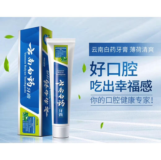 云南白药牙膏薄荷230G 商品图1