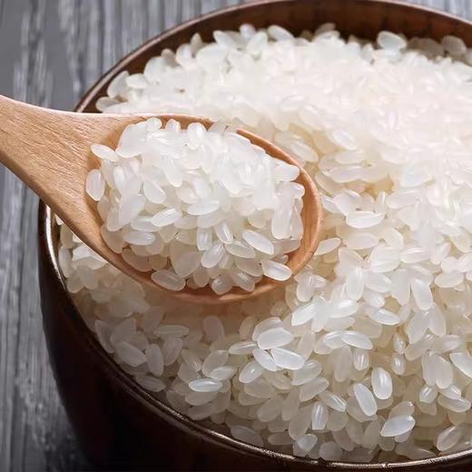 金龙鱼盘锦大米2.5kg/袋 东北大米粳米软糯圆粒珍珠米蟹稻 商品图1