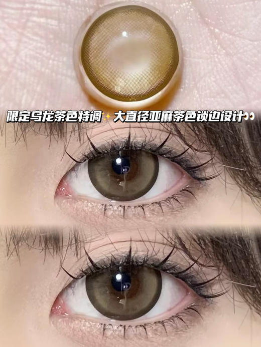 FUFFY复古犬系小熊棕【日抛·十片装】  商品图1