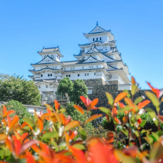 日本 | 关西艺术祭6天5晚 商品图9