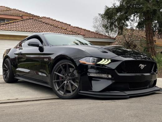 黑马Eibach性能短弹簧（18-24款野马gt、黑马都可适用） 商品图1