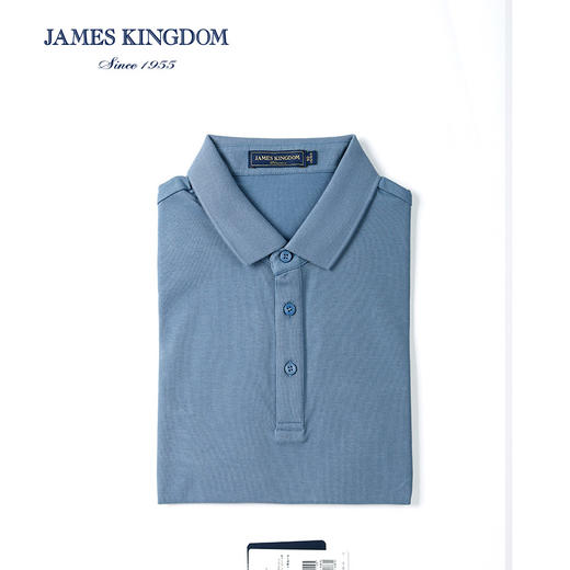 占姆士男士夏季翻领棉质短袖POLO衫 商品图2