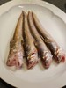 东海 刀鱼 上岸极速冷冻 尝鲜 商品缩略图3