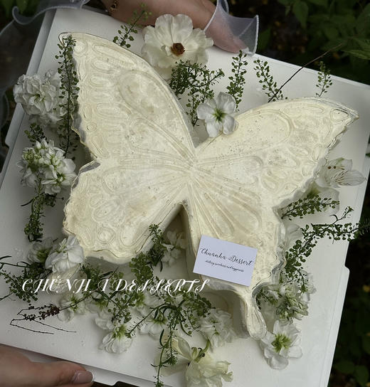 梦境蝴蝶  商品图6