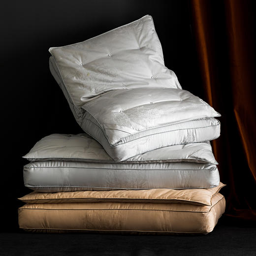 闽宁镇席梦乡双层蚕丝枕 M200-2403 商品图1