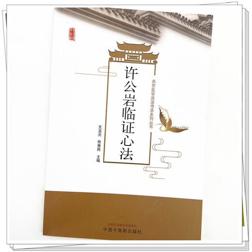 许公岩临证心法 王玉光 佟秀民 主编 中国中医药出版社 商品图4