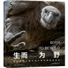 生而为野：中国野生生物摄影年赛摄影作品 全球精选219幅摄影佳作 看见生态美景野性自然  野生动物 自然景观 自然艺术 摄影画册 商品缩略图7