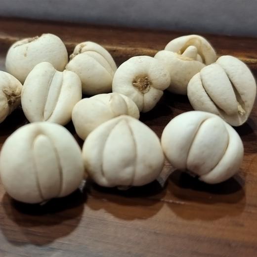 【野生川贝】来了！ 保障都是纯野生川贝，不参假！ 商品图9