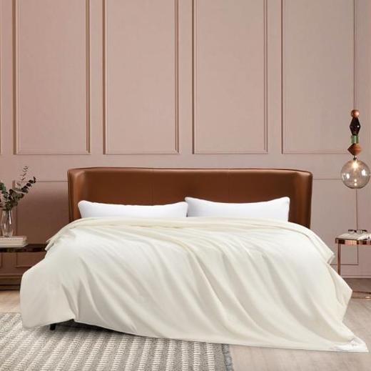 水星家纺 凯尔蚕丝被114344 商品图0