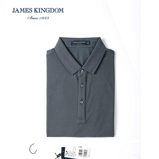 占姆士男士夏季翻领棉质短袖POLO衫 商品图4